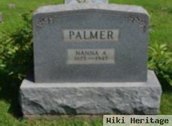 Nanna A Palmer