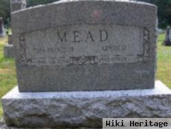 Arnold Mead