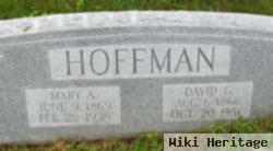 Mary Ann Paine Hoffman