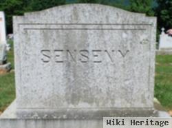 Mary E. Long Senseny