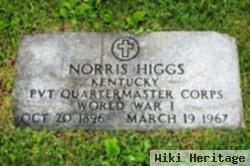 Norris Higgs