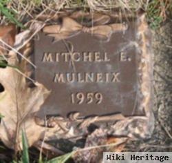 Mitchel E Mulneix