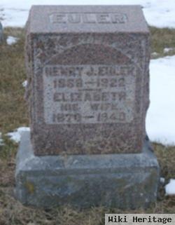 Henry John Euler