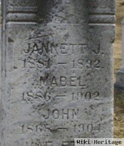 Jannett J Davison