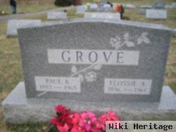 Paul K. Grove