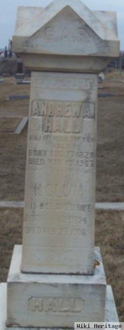 Andrew A Hall