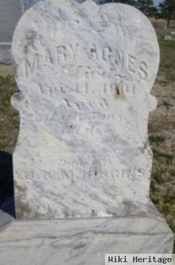 Mary Agnes Higgins