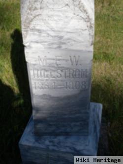 M. F. W. "fritz" Hillstrom