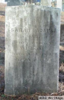 Sarah Adams Willard