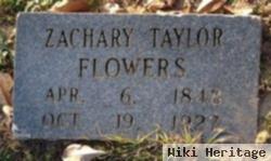 Zachary Taylor Flowers
