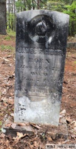 James Frances Gibbs