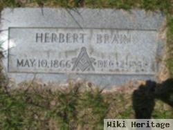 Herbert Brain