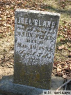 Joel Bland Feltis