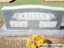 Elaine Ann Rowald Kallus