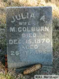 Julia Ann Davis Colburn