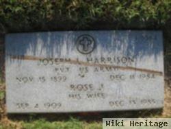 Rose J Harrison