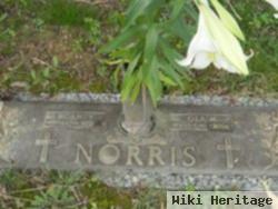 Hornby Norris