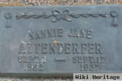 Nancy Jane "nannie" Cox Altenderfer