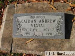 Cathan Andrew Vestal