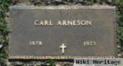 Carl Arneson