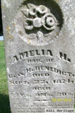 Amelia H Benedict