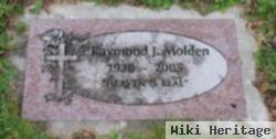 Raymond J. Molden