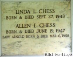 Allen L Chess