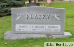 Gerald Donald Plasky