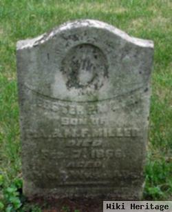 Webster Miller