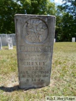 Zadock A Cheney