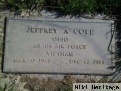 Jeffrey A Cole