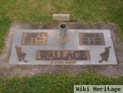 Perry Alvin Wallace