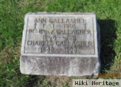 Ann Gallagher Gallagher