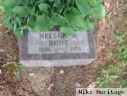 Nelson Bunt