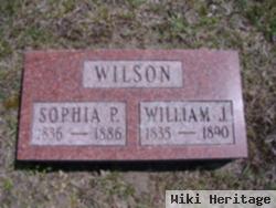 Sophia P Wilson