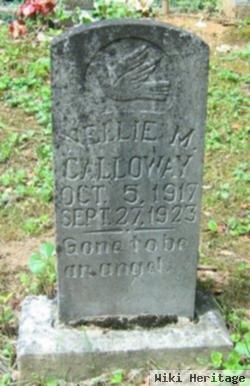 Nellie M Calloway