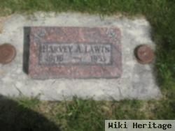 Harvey August Lawin