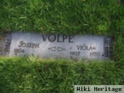 Viola Volpe