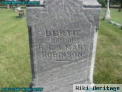 Bertie Robinson