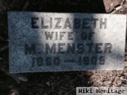 Elizabeth Menster