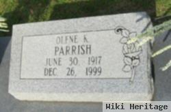 Olene K Parrish