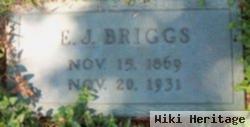 E J Briggs