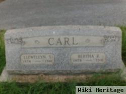 Llewellyn S. Carl