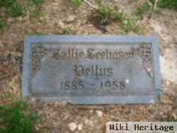 Sallie B Seeligson Pettus