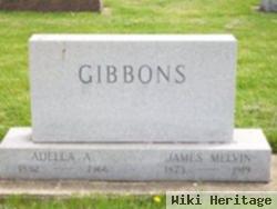 James Melvin Gibbons