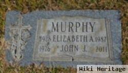 John J Murphy