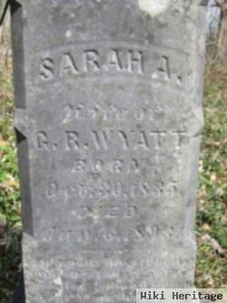 Sarah Ann "sally" Mckenney Wyatt