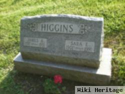 James W. Higgins