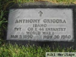 Anthony S. Grigora