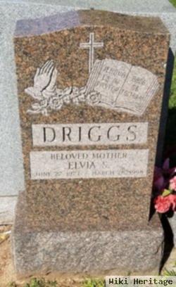 Elvia S Driggs